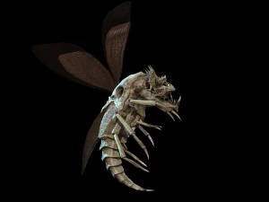 flying bug4 3D Model