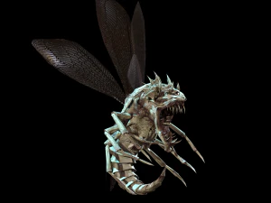 flying bug4 3D Model