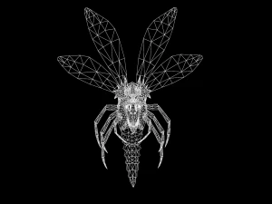 flying bug4 3D Model