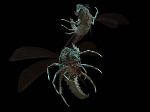 flying bug4 3D Модель