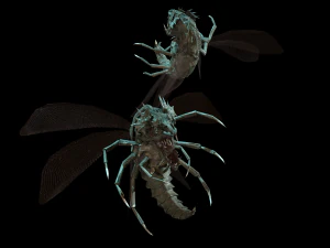 flying bug4 3D Model