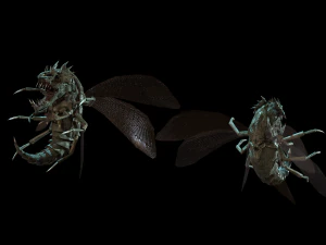 flying bug4 3D Model