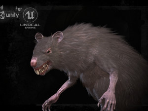 wererat 3D मॉडल