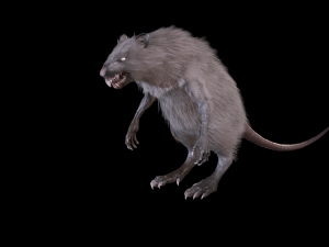 wererat Modello 3D