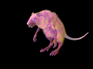 wererat Modello 3D