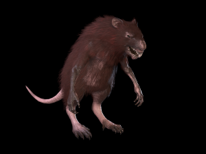 wererat Modello 3D