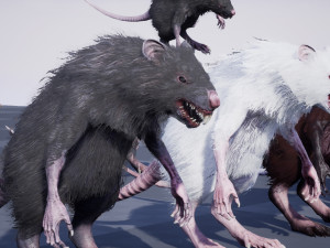 wererat Modello 3D