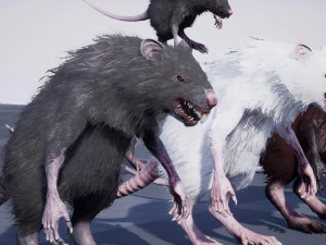 wererat 3D Model