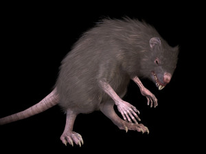 wererat Modello 3D