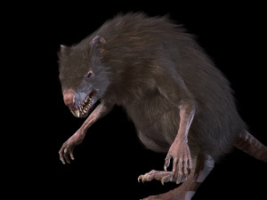 wererat Modello 3D