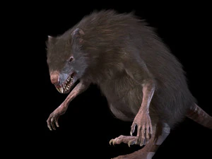 wererat 3D Model