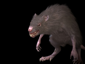 wererat Modello 3D