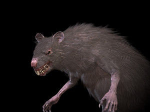 wererat Modello 3D