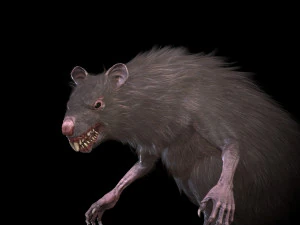 wererat 3D Model
