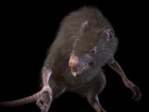 wererat Modello 3D