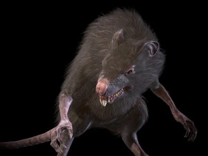 wererat 3D Model