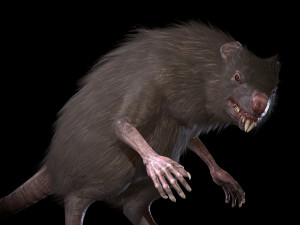 wererat Modello 3D