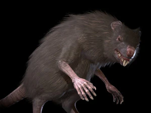 wererat 3D Model