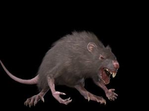 wererat Modello 3D