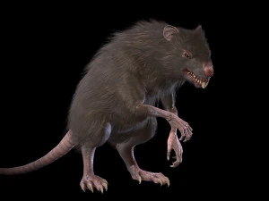 wererat 3D Model