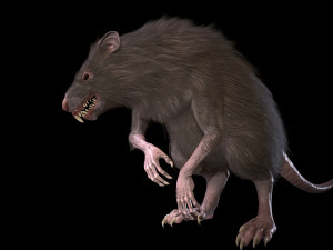 wererat Modello 3D