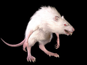 wererat Modello 3D