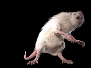 wererat Modello 3D