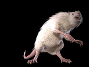 wererat 3D Model