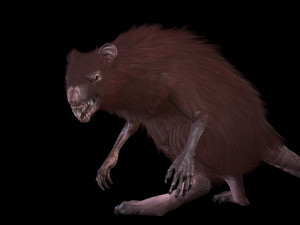 wererat Modello 3D