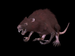 wererat Modello 3D