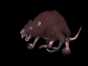 wererat 3D Model