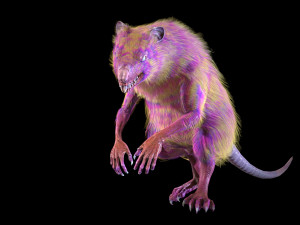 wererat Modello 3D