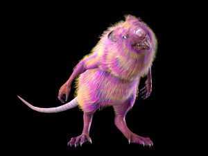 wererat Modello 3D