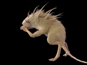 Chupocabra 3D Model