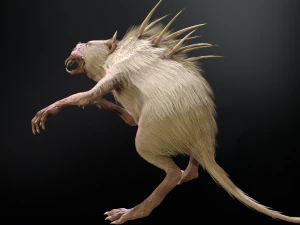 Chupocabra 3D Model