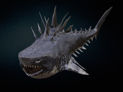 Shark4 3Dモデル
