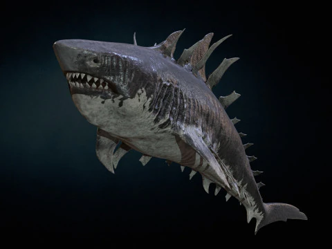 Squalo4 Modello 3D