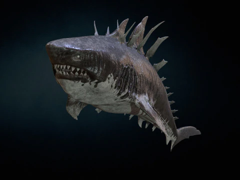 Squalo4 Modello 3D