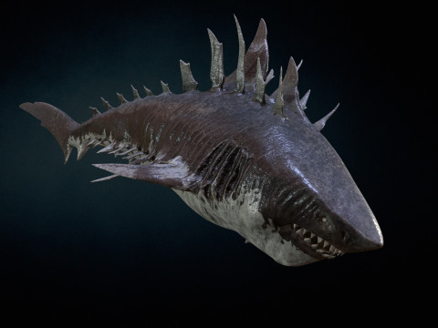 Shark4 3Dモデル
