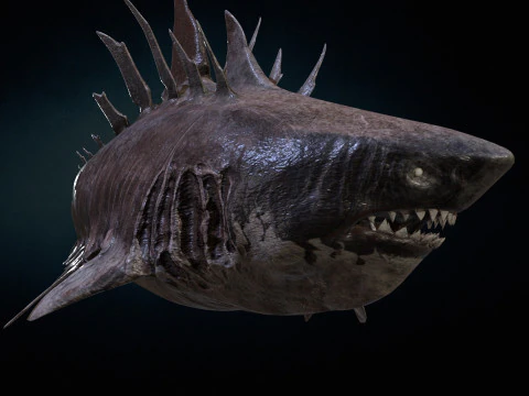 Squalo4 Modello 3D