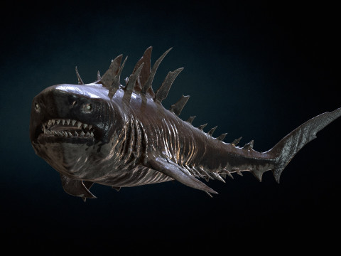 Shark4 3Dモデル
