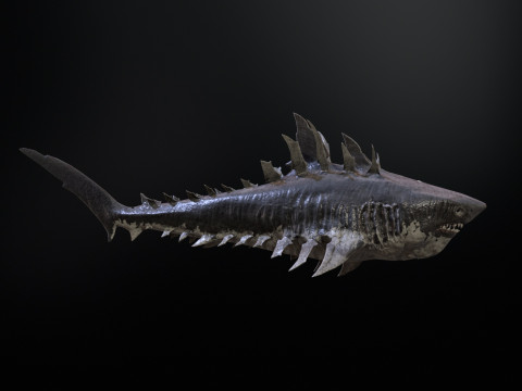 Shark4 3Dモデル
