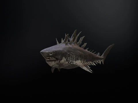 Squalo4 Modello 3D
