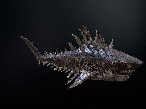 Shark4 3Dモデル