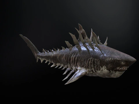 Squalo4 Modello 3D