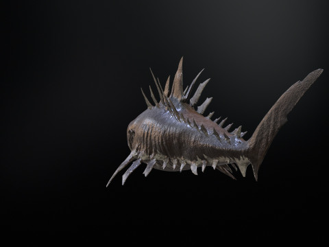 Shark4 3Dモデル