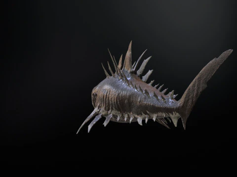 Squalo4 Modello 3D