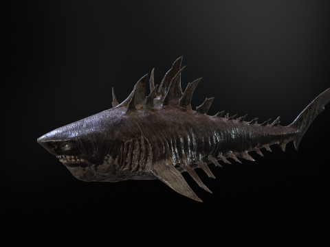 Shark4 3Dモデル