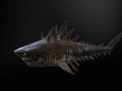 Squalo4 Modello 3D