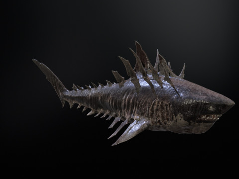 Shark4 3Dモデル